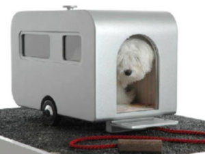 Dogs love caravan holidays too!